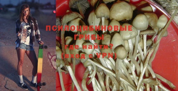 дживик Нязепетровск