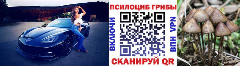 сколько стоит  Ленинградская  Псилоцибиновые грибы MAGIC MUSHROOMS 